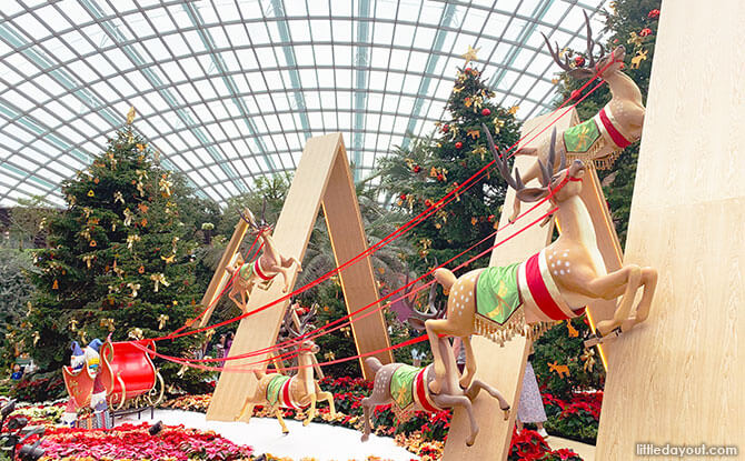 Display at the Flower Field, Flower Dome, November, December 2019