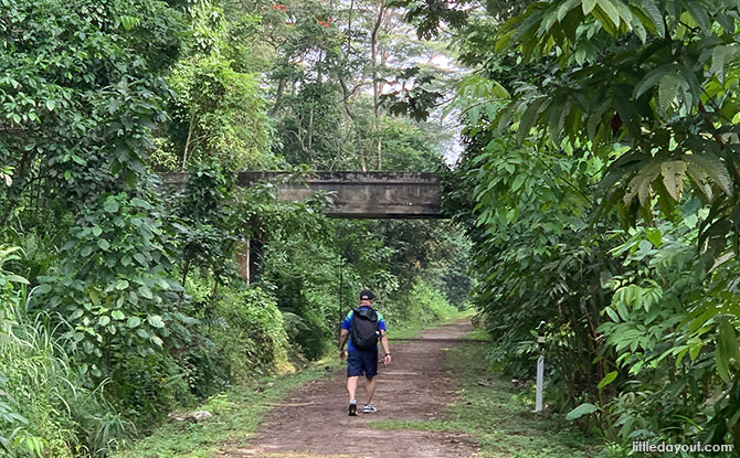 Walking the Rail Corridor Central