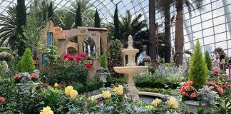 Rose Romance 2022: Italian Countryside At Gardens By The Bay