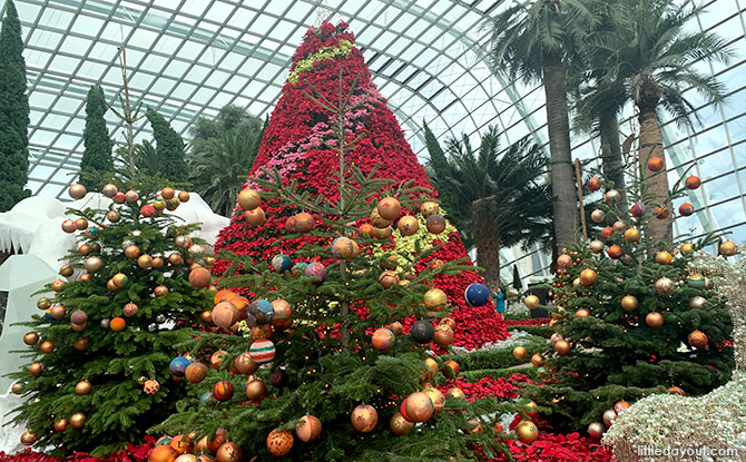 Seasons Of Bloom At Gardens By The Bay's Flower Dome: Poinsettia Christmas Tree & An Ice Cavern