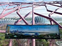 04-supertree-observatory