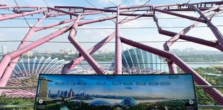 04-supertree-observatory