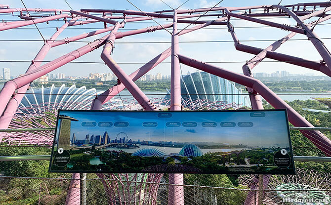 Supertree Observatory: A Bird’s Eye View Of Gardens By The Bay