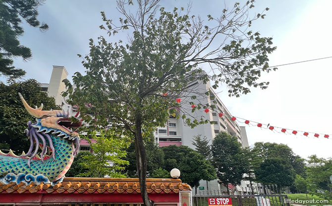 Where to find a Tempinis Tree in Tampines