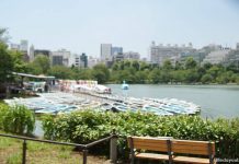 6 Things To Do At Ueno Park, Tokyo, Japan