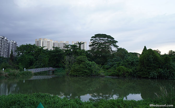 Sengkang Floating Wetland plants and trees