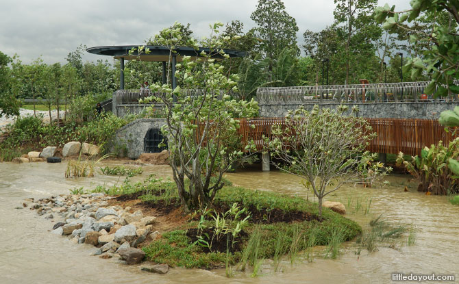 Rower's Bay, A New Node on the Round Island Route