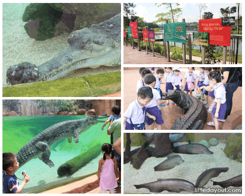 Ganges and Murray River Zones at River Safari Singapore