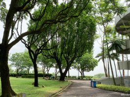 Jurong Hill Park: Lookout Point With A Garden Of Fame