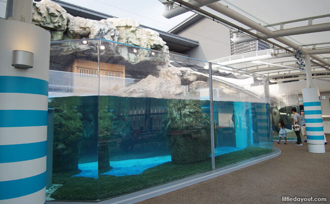 Seal exhibit, Kyoto Aquarium