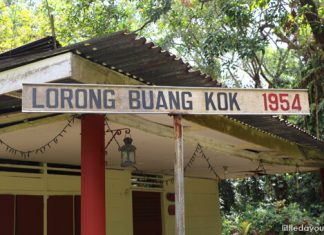 Kampong Buangkok: Life Lessons 05-LorongBuangkokSign