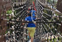 Nestopia: A Grand Adventure Exploring New Heights At Siloso Beach Nestopia