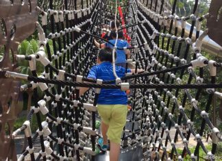Nestopia: A Grand Adventure Exploring New Heights At Siloso Beach Nestopia