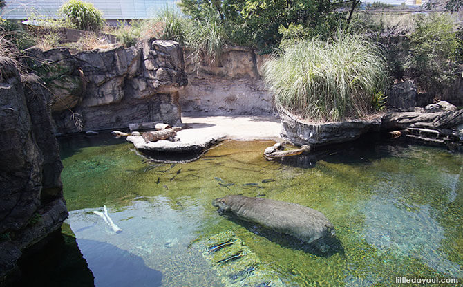 Tennoji Zoo Tennoji Zoo, Osaka: Animals In The City