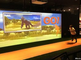 VS Park, EXPOCITY, Osaka: Sporty Japanese Game Show Fun