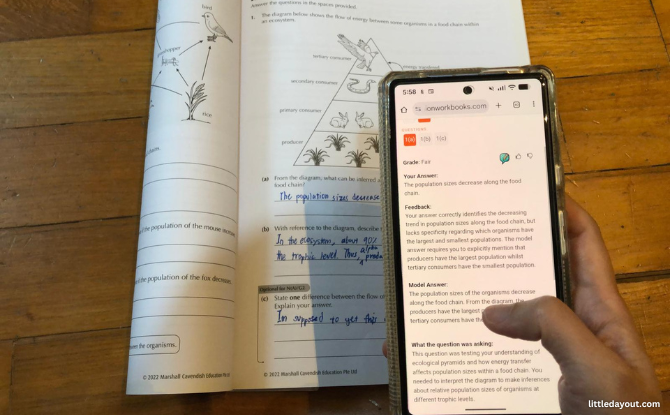 Vision Workbooks - Instant Feedback and Evaluation