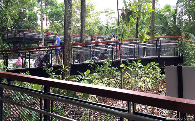 Elevated Walkway at Jacob Ballas Children's Garden