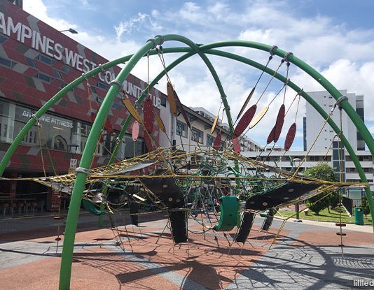 Tampines N8 Playground: Flower Dome Structure And Rope Obstacle Course
