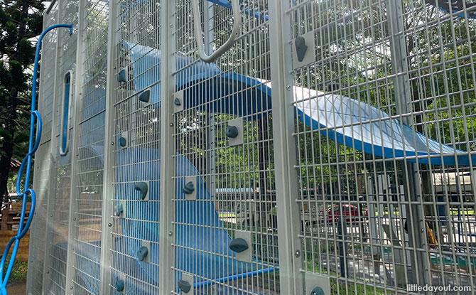 Bukit Batok East Ave 4 Wallhola Vertical Playground