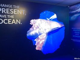 Earth Day 2022: Ways To Appreciate Our Planet A Little More