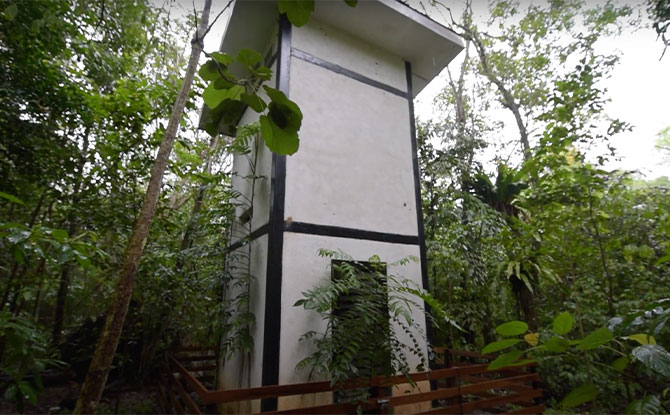 Chek Jawa Virtual Tour, Including A Visit To Off-Limits Bat House 4 Visit to the off-limits bat house