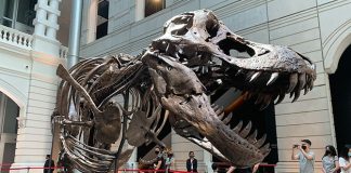 Christie's Previews A T-Rex Skeleton, Art Masterpieces By Joan Mitchell, Georgette Chen This Weekend