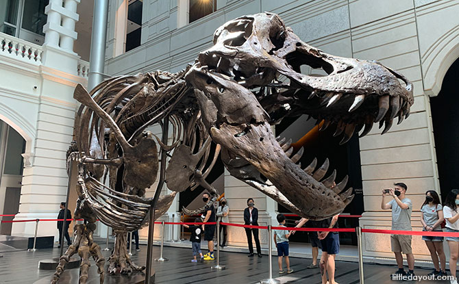 Christie's Previews A T-Rex Skeleton, Art Masterpieces By Joan Mitchell, Georgette Chen This Weekend Christie's Previews A T-Rex Skeleton, Art Masterpieces By Joan Mitchell, Georgette Chen This Weekend