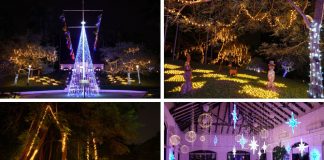Christmas at Fort Canning Park: See The Light Up Of Raffles Garden