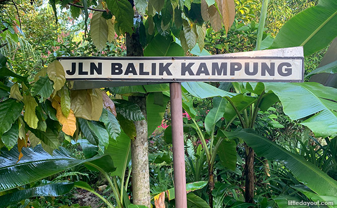 SG50 Community In Bloom Garden