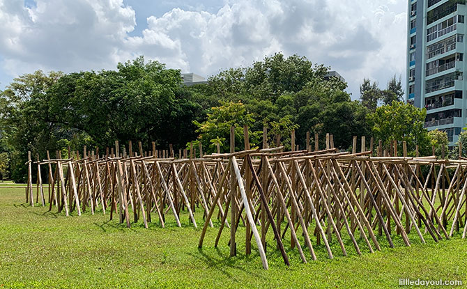 When a Tree Becomes a Forest