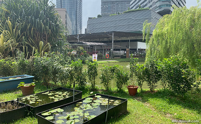 Jurong Play Grounds: Eat, Play And Grow At JPG