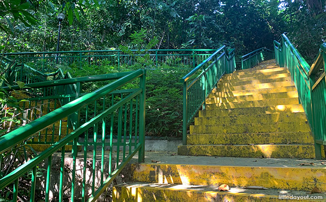 Visiting Kent Ridge Park