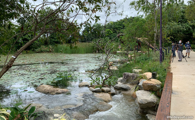 Kingfisher Cascade