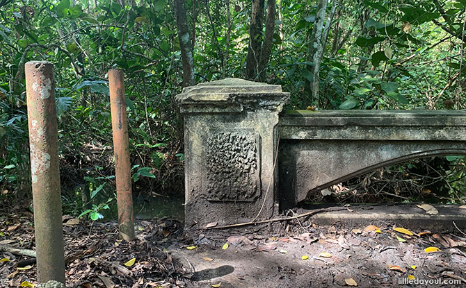MacRitchie Reservoir Trail: Trekking Around The Central Catchment Nature Reserve MacRitchie Reservoir Trail: Trekking Around The Central Catchment Nature Reserve