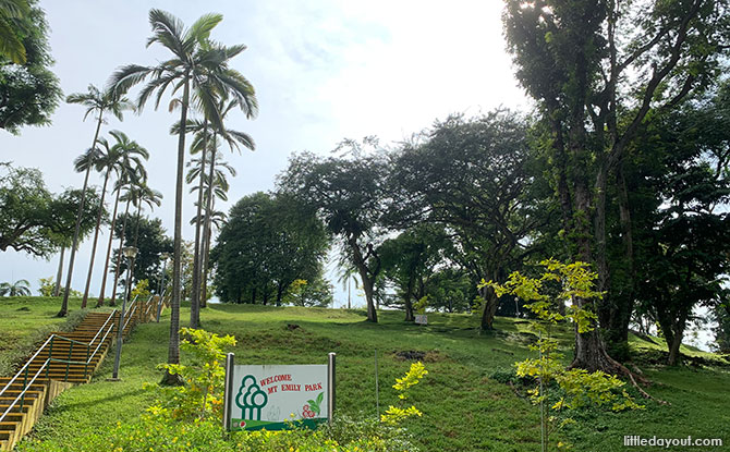 Hills in the City - Mount Emily Park