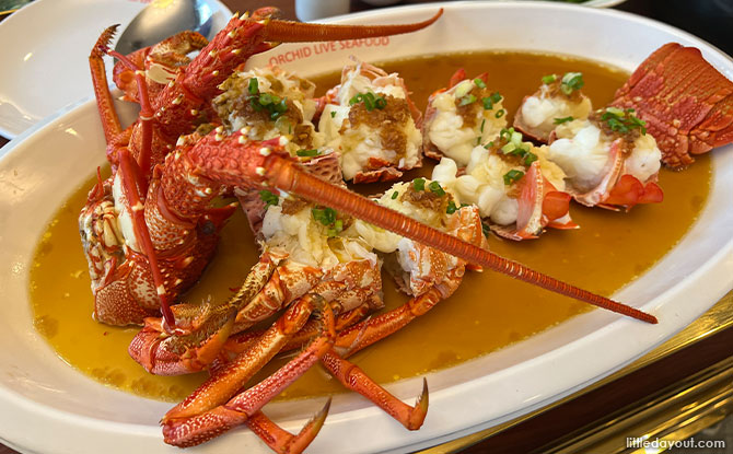 Furong Steamed Southern Australian Lobster
