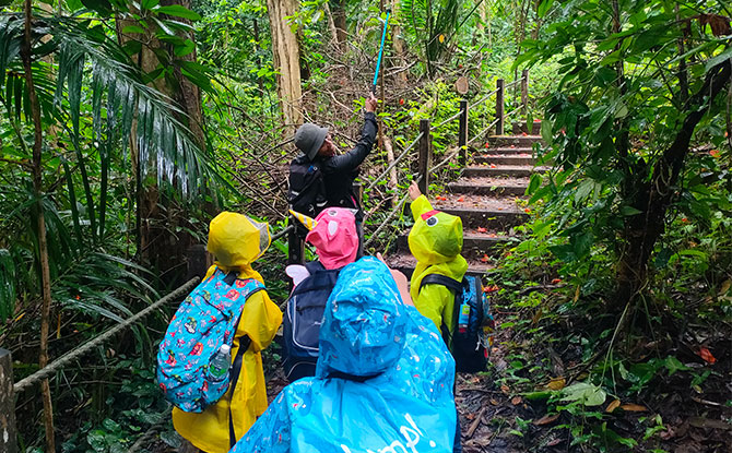 What Outdoor School Singapore Offers