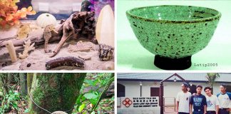 Pesta Ubin 2021: Free Activities To Learn More About Pulau Ubin
