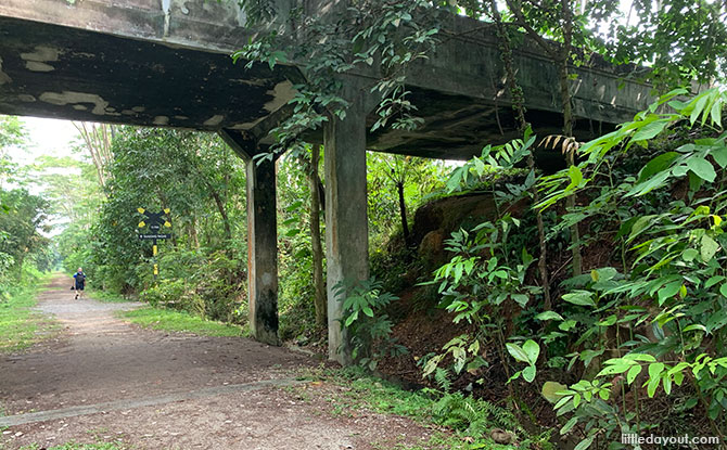 Upper Bukit Timah Truss Bridge