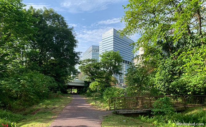 Biopolis from the Rail Corridor South