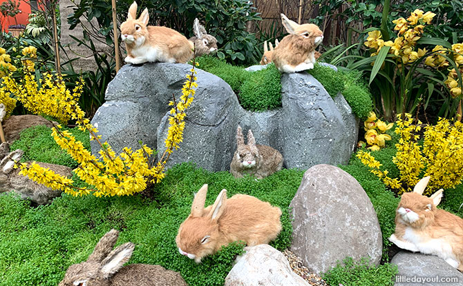 Rabbit Island or Okunoshima