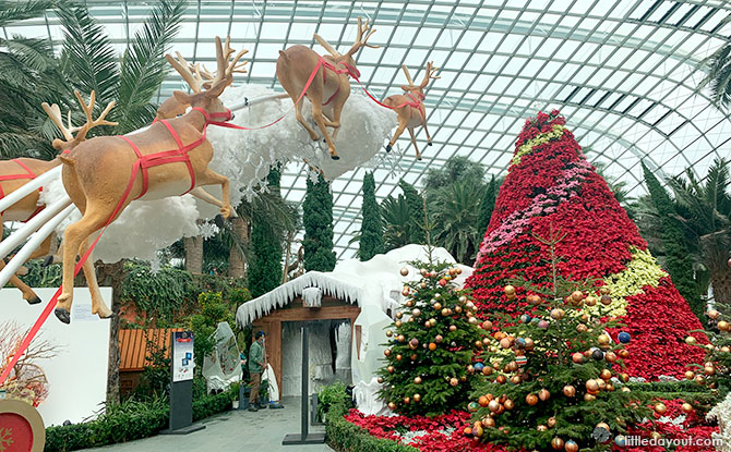 Seasons of Bloom, Gardens by the Bay, Flower Dome