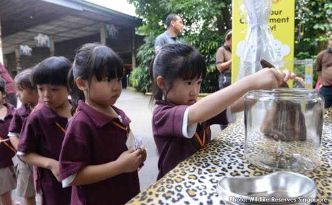 Singapore Zoo