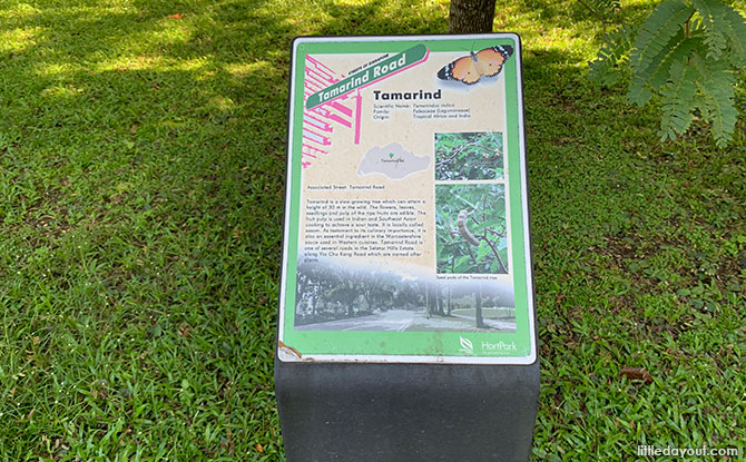 Tamarind Tree Sign