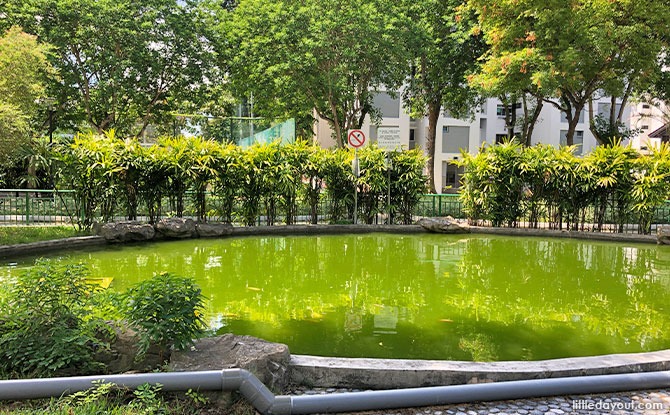 Pond at Tampines Park