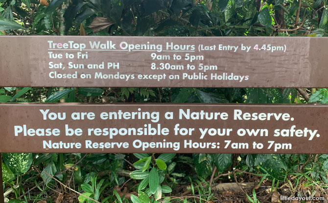 Treetop Walk Opening Hours