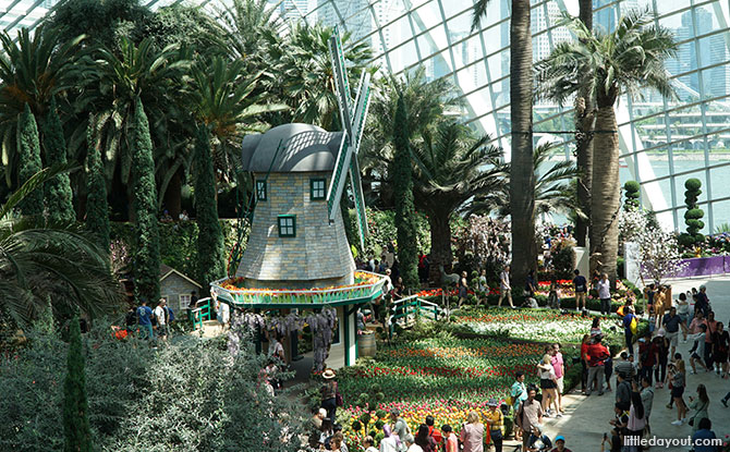 Windmill at the Flower Dome
