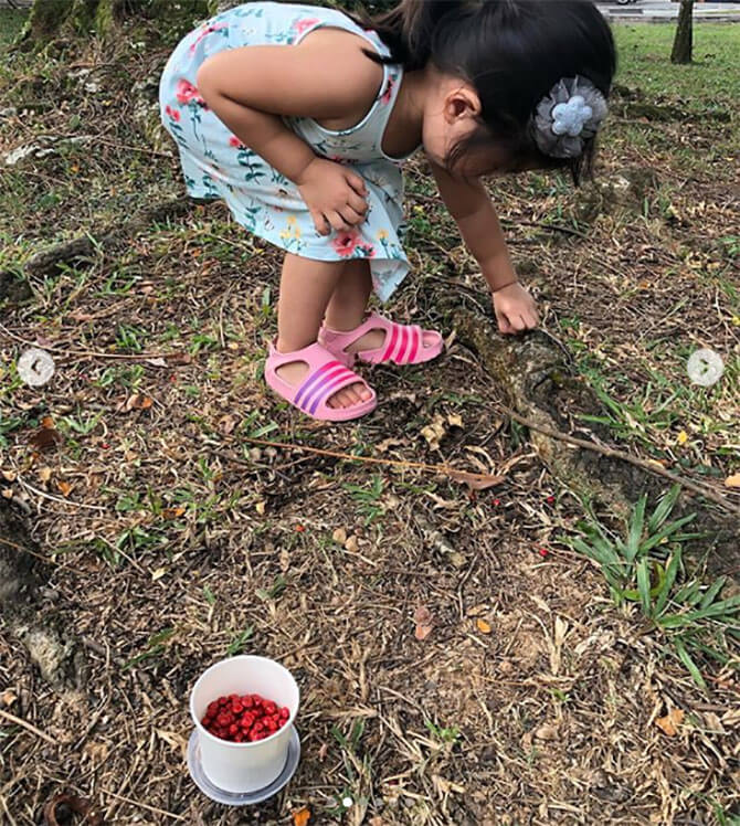 Getting started with home learning