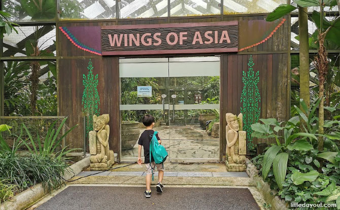 Wings of Asia