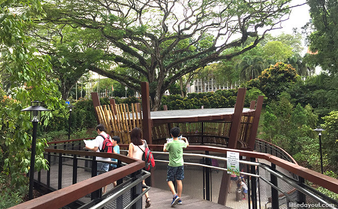 Elevated Walkway to Nature Play Area at Jacob Ballas Children's Garden